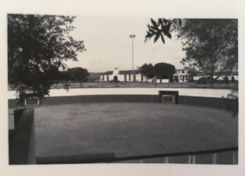 historia ganaderia gavira